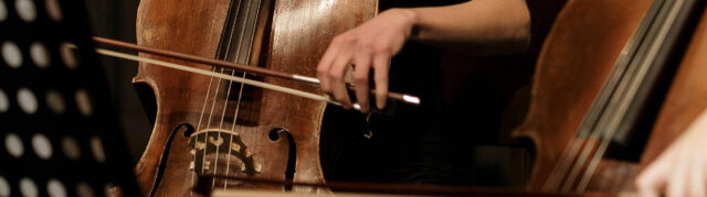 Musik i Haga – Vox Eia